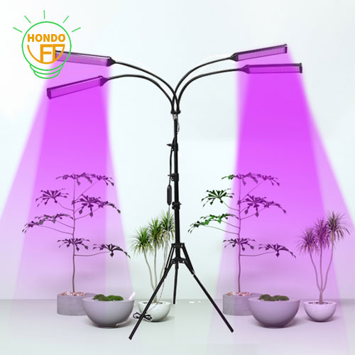 Why does plant fill light need to undergo aging test