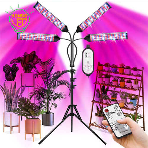 How do plant fill lights grow in vegetable greenhouses?