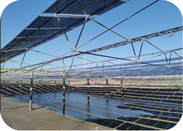 Top Flexible Solar Mounting System Supplier in China: Your Reliable Partner for Sustainable Energy Solutions