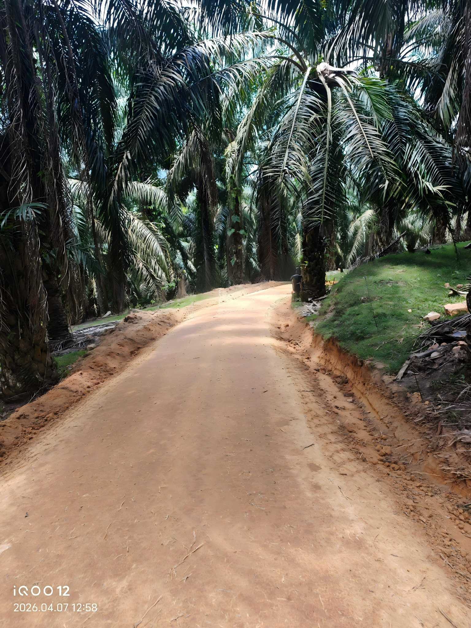 Polymer Soil Stabilizer for Unpaved Roads: The Durable and Dust-Free Solution
