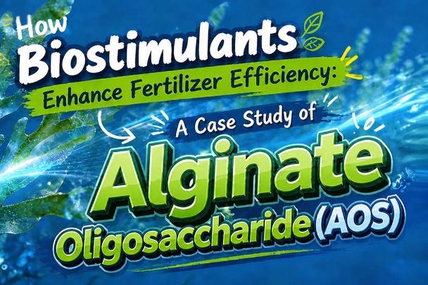 Best China Fertilizer Additives for Healthier Crops: What to Choose?